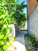 10 Patterson Street #206 - Path to Back