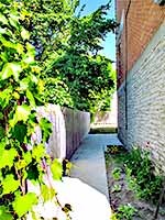 10 Patterson Street #103 - Path To Back