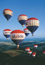 the RE/MAX Story (web site).