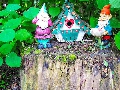 65 Geddes Street - Hidden Gnomes